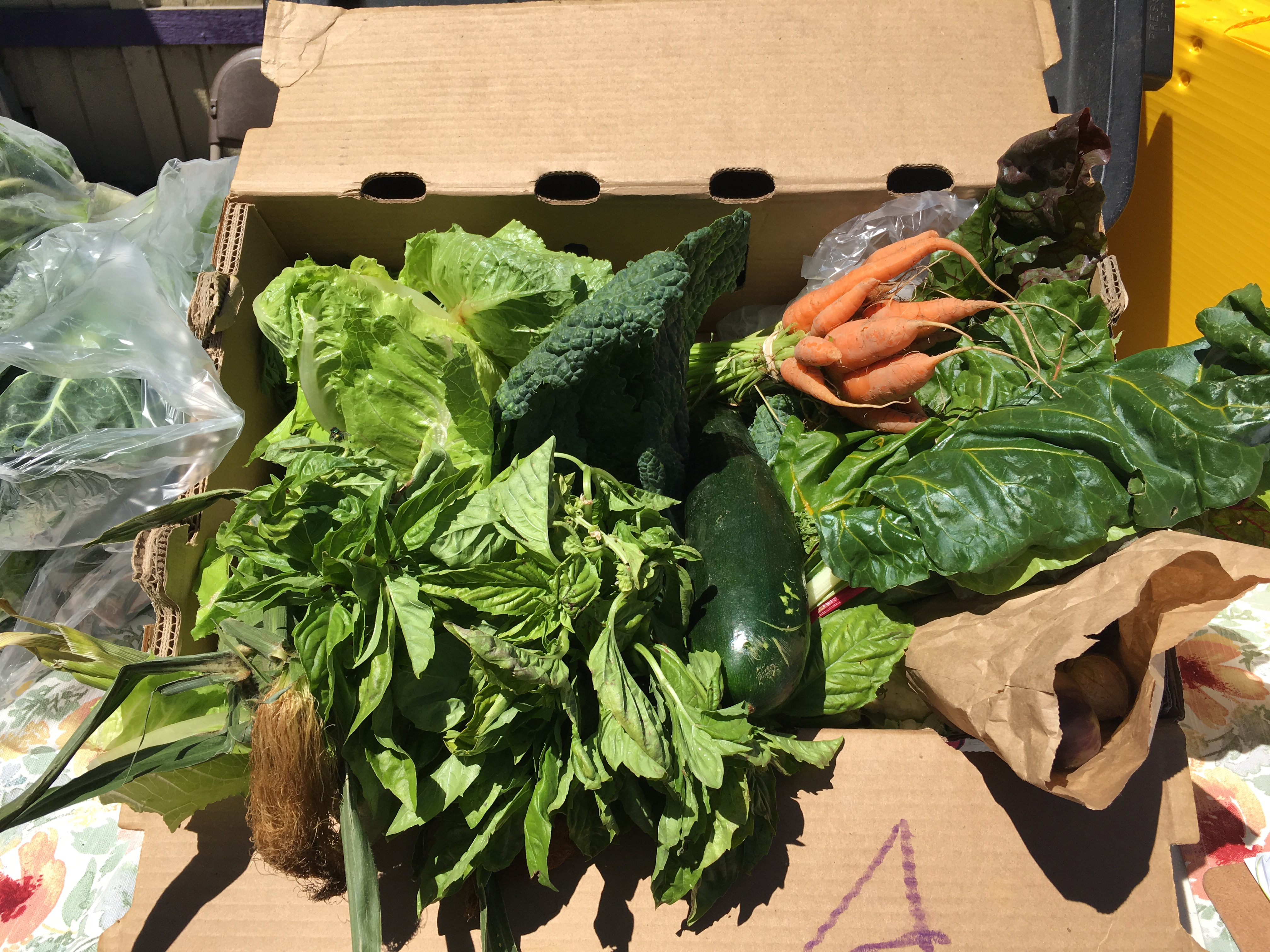 CSA box